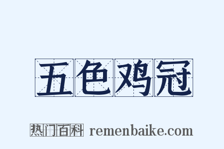 五色鸡冠是什么意思的图片